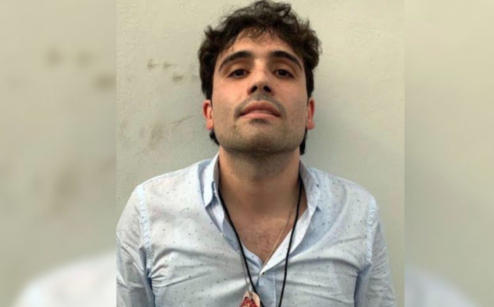 chapo-hijo