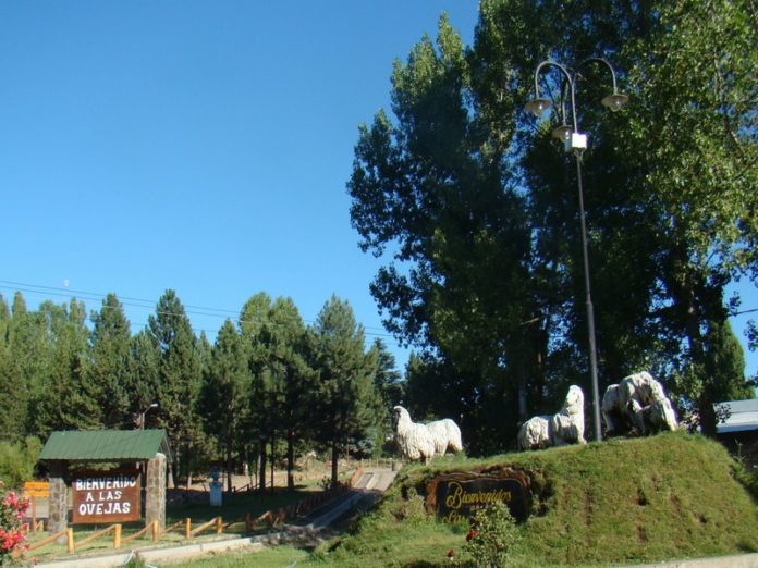 las-ovejas
