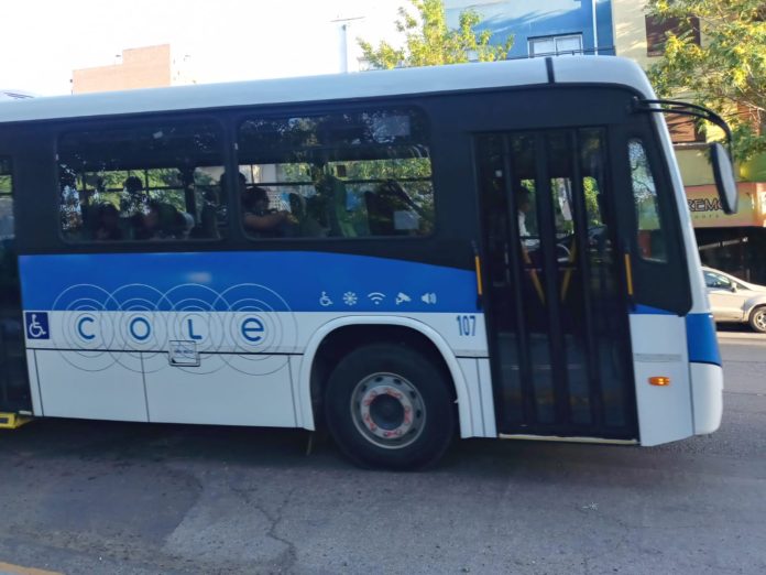 colectivo