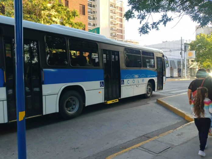 colectivo-nqn