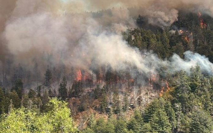 El-Bolson-Incendio-forestal-5-de-marzo1-720x450