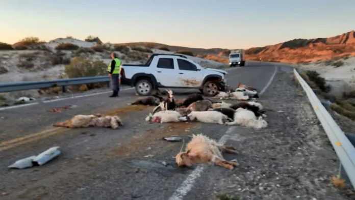 accidente-arreo-buta-ranquil