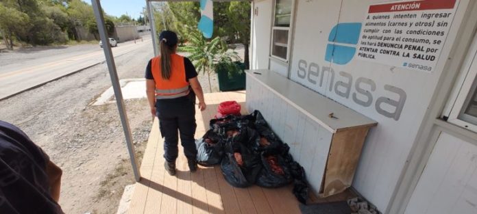 carne-1-768x345