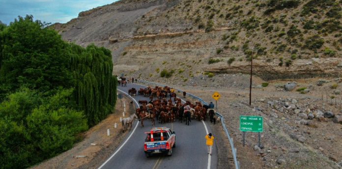 rutas