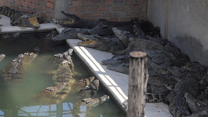 WhatsApp-Image-2023-05-26-at-19.24.55