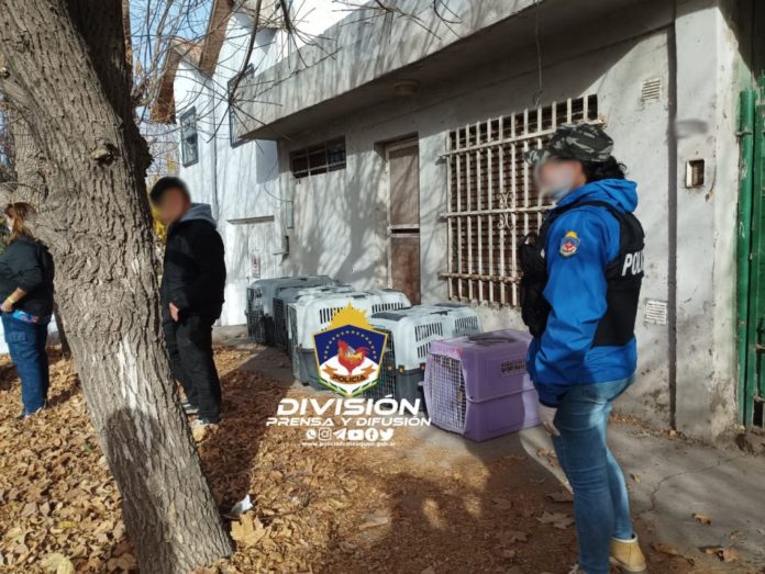 Policia