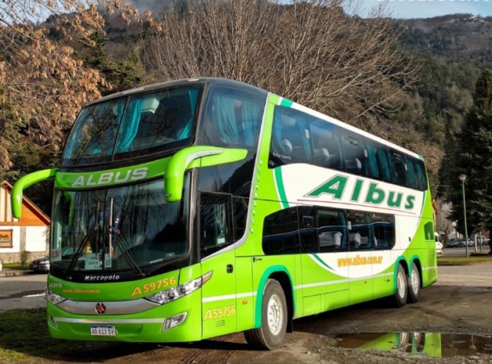 colectivo