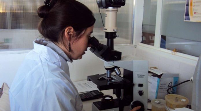 Laboratorios-Neuquen