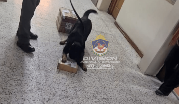 Policia