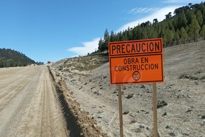ruta_23_pehuenia
