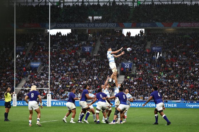 Pumas