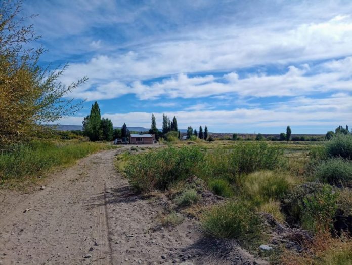 Campo.Picun.Leufu