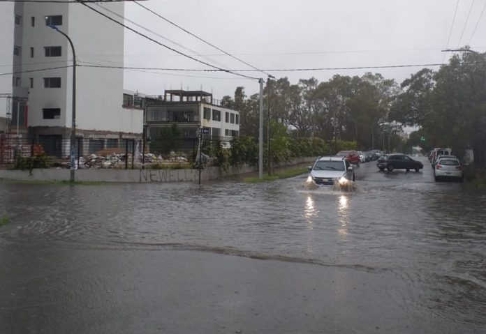 Temporal