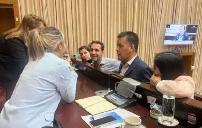 Diputados MPN