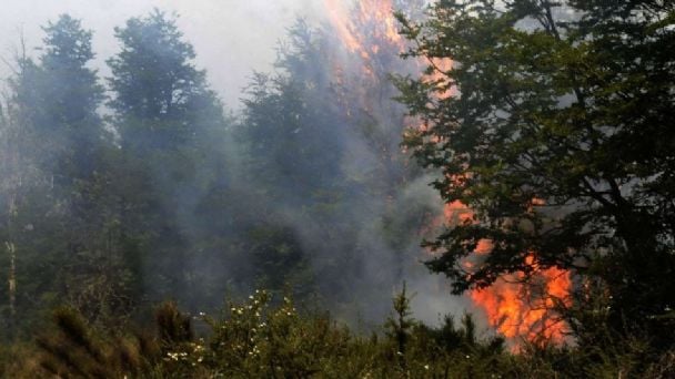 Incendio-Neuquén.