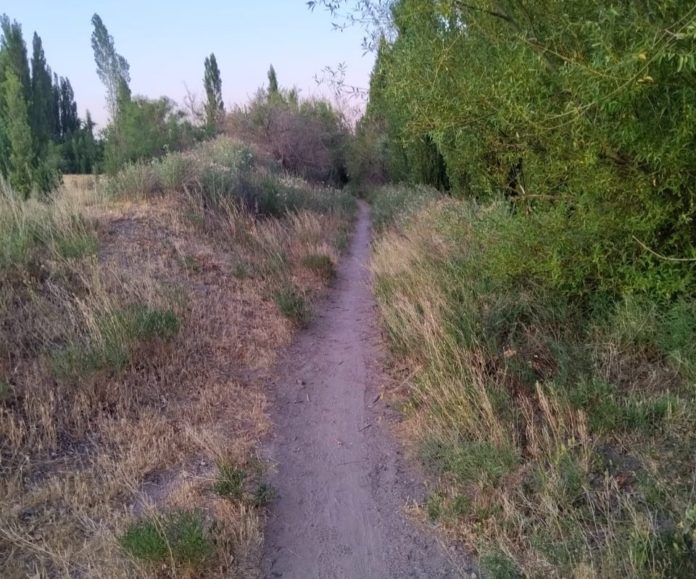 Camino