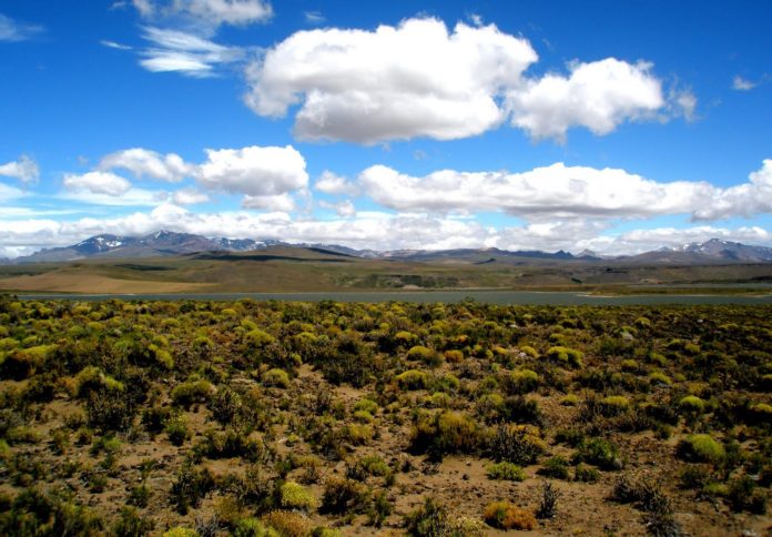 Campo.Neuquen.LagunaBlanca