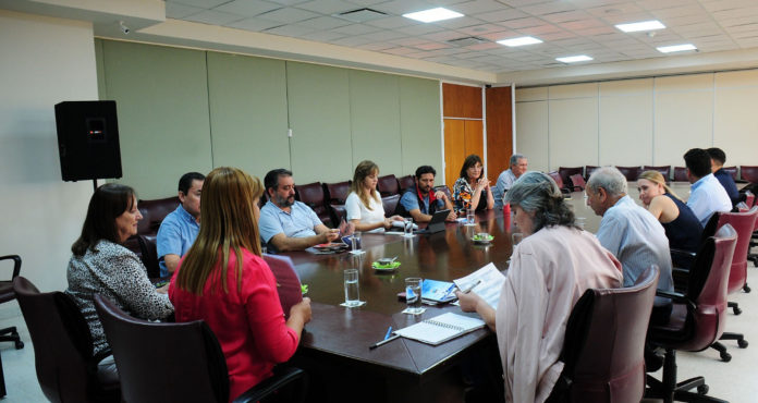 diputados nqn