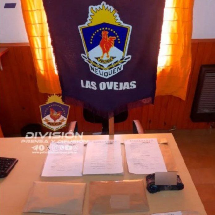 Las ovejas robo