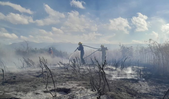 Bomberos