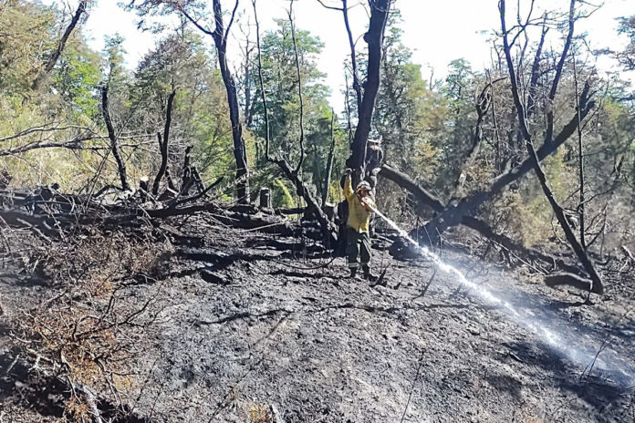WEB-lanin-2-incendio
