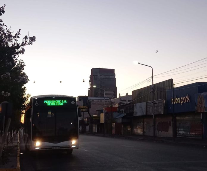 Colectivo