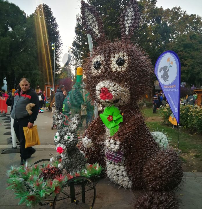 pascuas
