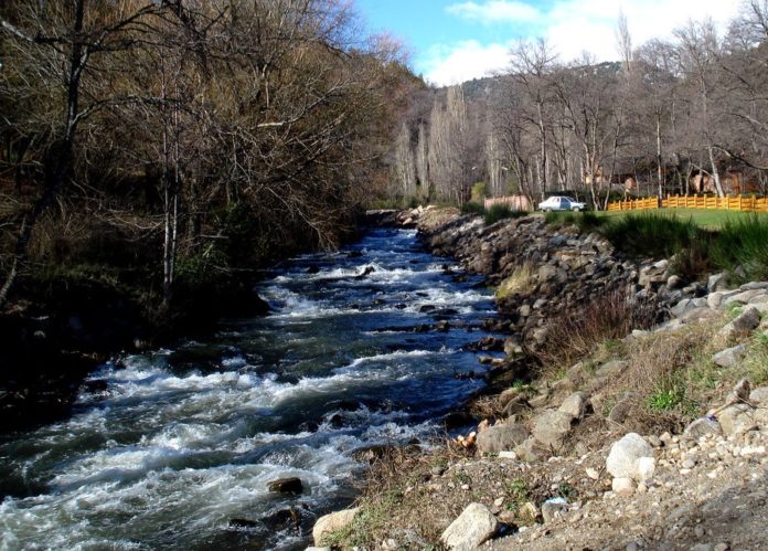 Arroyo