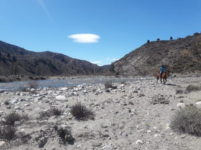 CuyinManzano