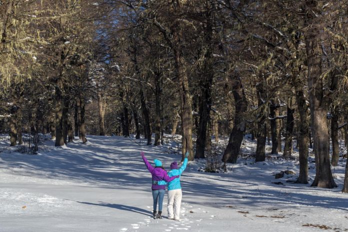 NieveSanMartin