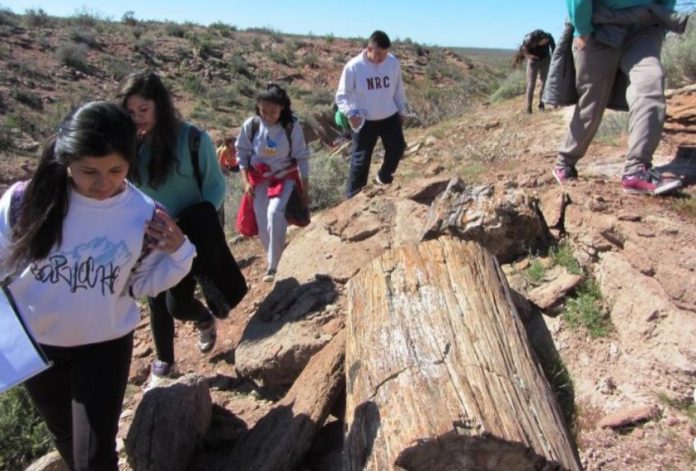 Planta-Campamento