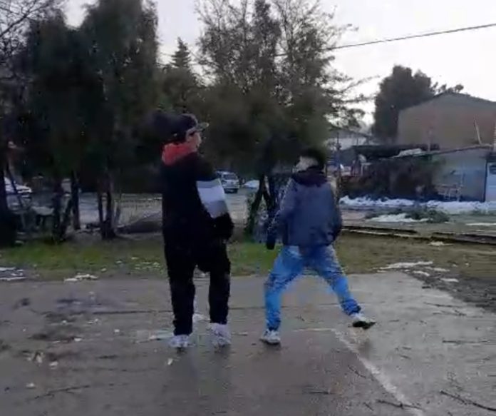 Pelea
