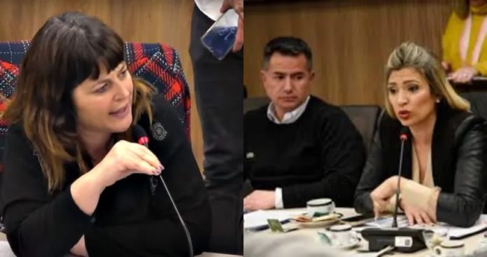 Diputadas
