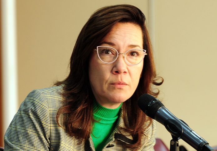 Diputada2