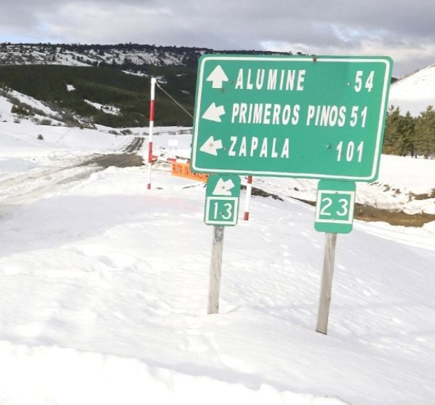 Ruta