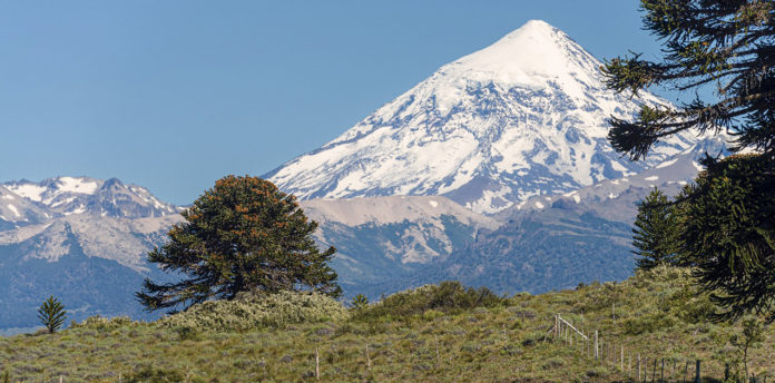 web-Neuquen-cuenta-con-nuevas-reglamentaciones-para-agencias-de-viajes-y-transporte-turistico