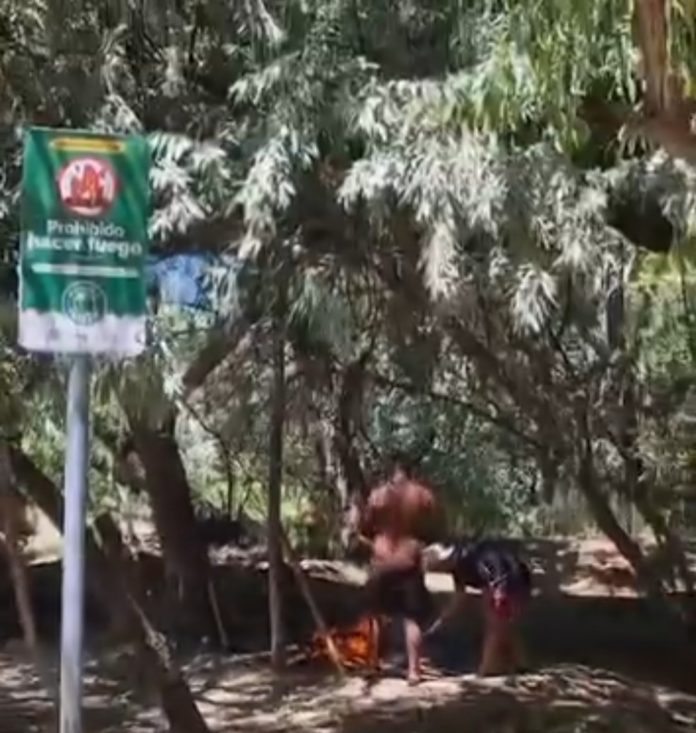 FotoVideo
