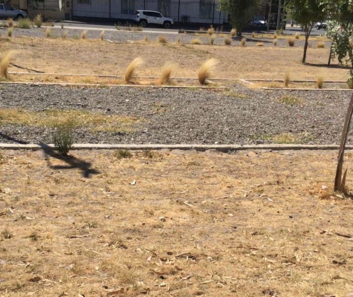 Plaza