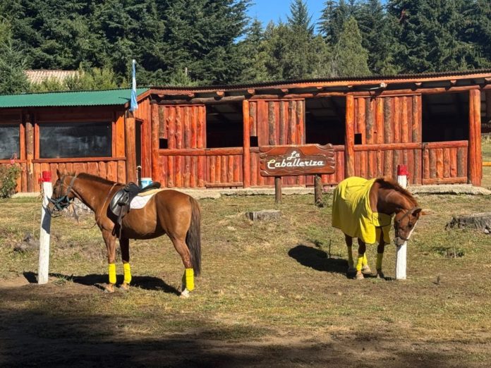 Caballos