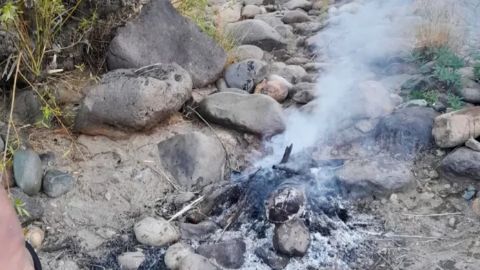 fogones