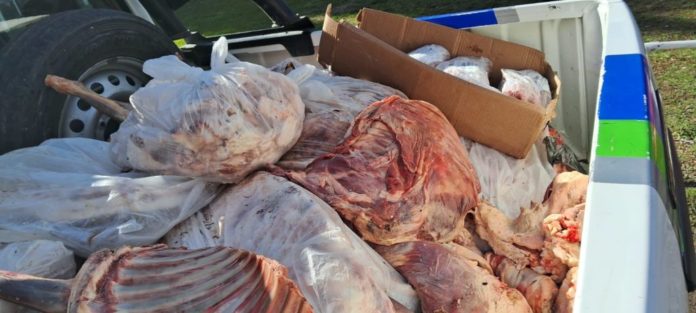Carne