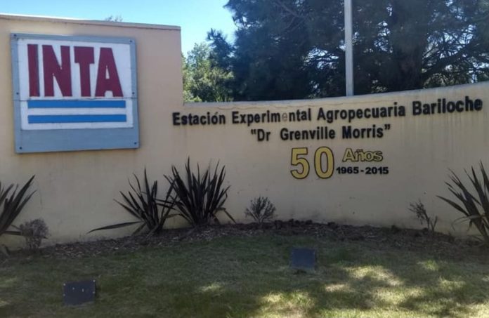 Inta
