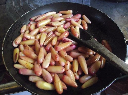 Piñon