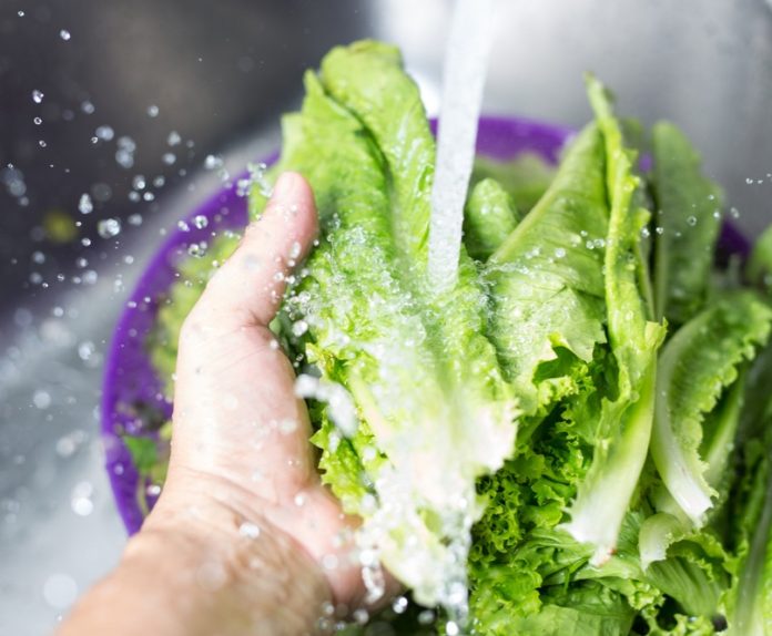 Verduras