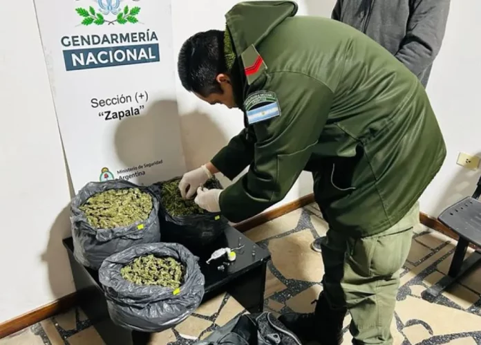 marihuanazapala.pg_