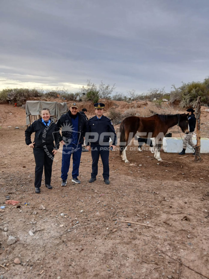 caballo