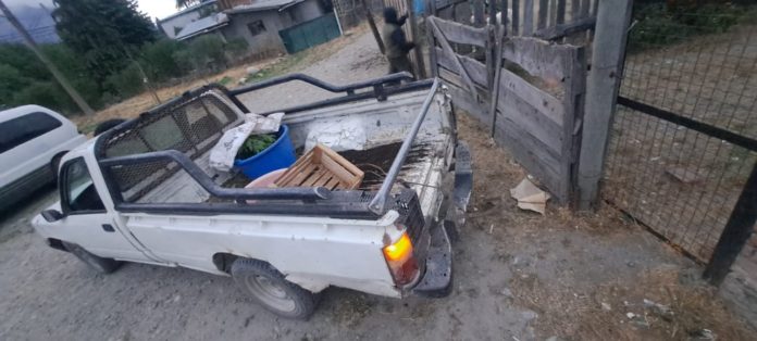 detenido