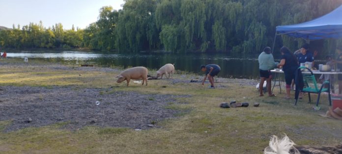 IMG-20260109-WA0004