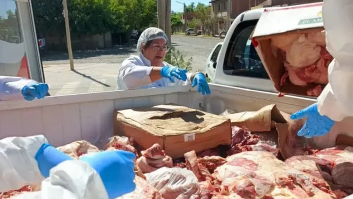 carne-plottier