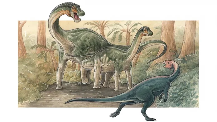 sauropodo